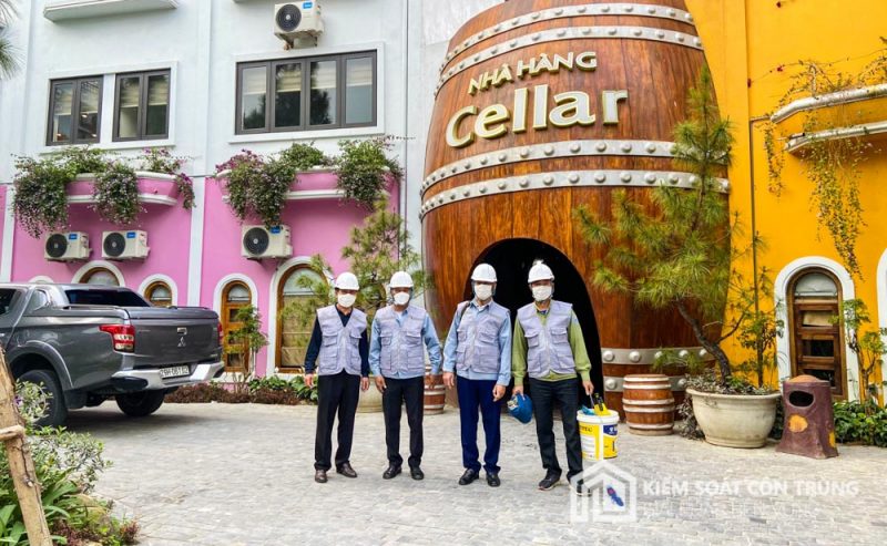 Diệt mối, phòng mối, diệt côn trùng hiệu quả uy tín tại Hạ Long