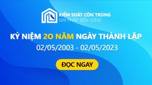 Kỷ niệm 20 Năm Ngày Thành Lập