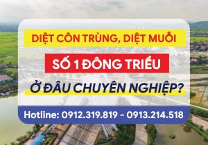 Vnpcs Đơn Vị Diệt Mối Diệt Muỗi Diệt Côn Trùng Số 1 Tại Đông Triều Quảng Ninh