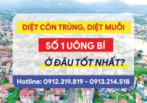 Vnpcs Đơn Vị Diệt Mối Diệt Muỗi Diệt Côn Trùng Số 1 Tại Uông Bí Quảng Ninh